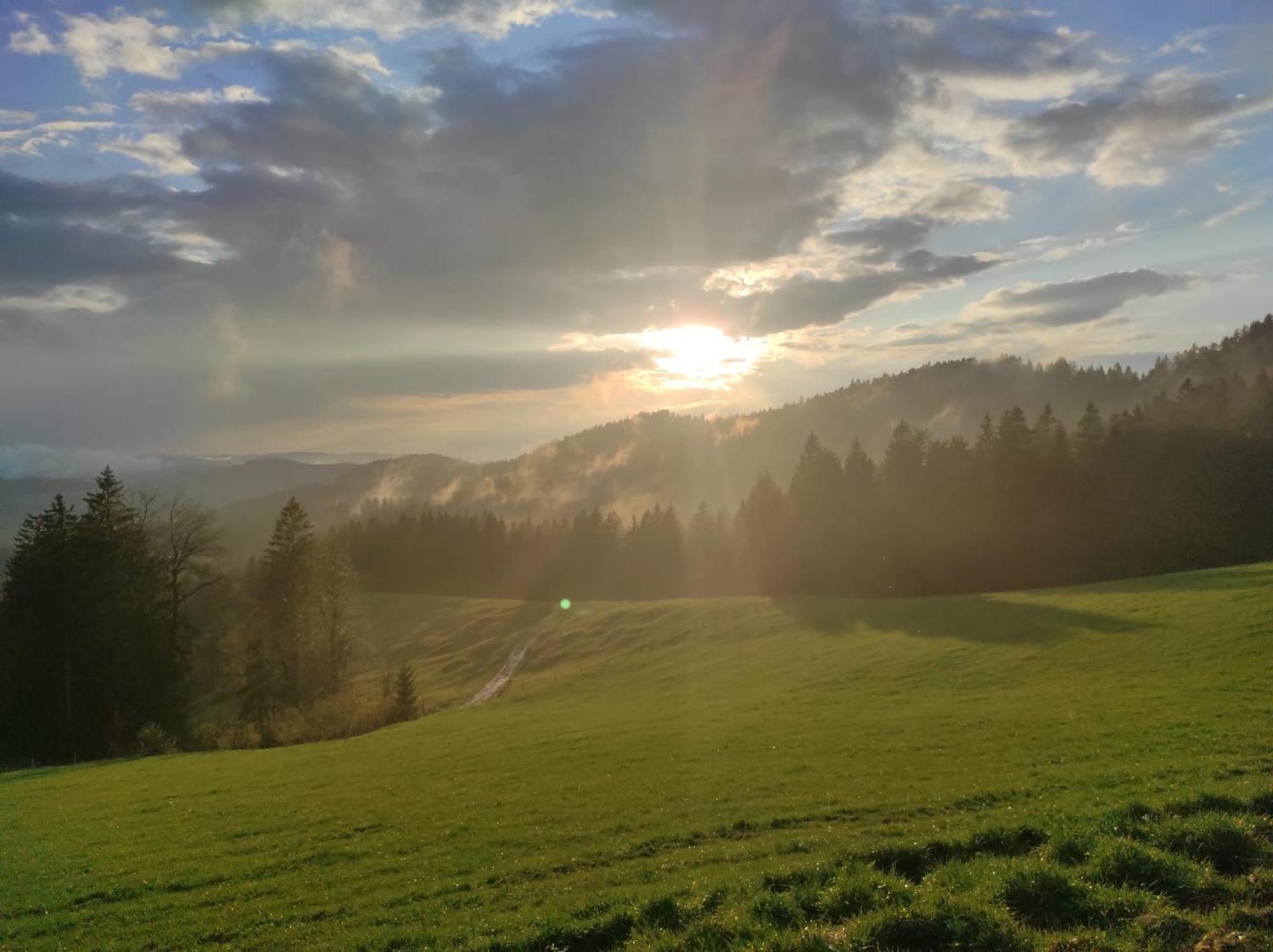 Sonnen-Juwel - Hallenbad-Sauna-2 Getrennte Schlafbereiche-Direkt An Der Skipiste Міссен-Вільгамс Екстер'єр фото
