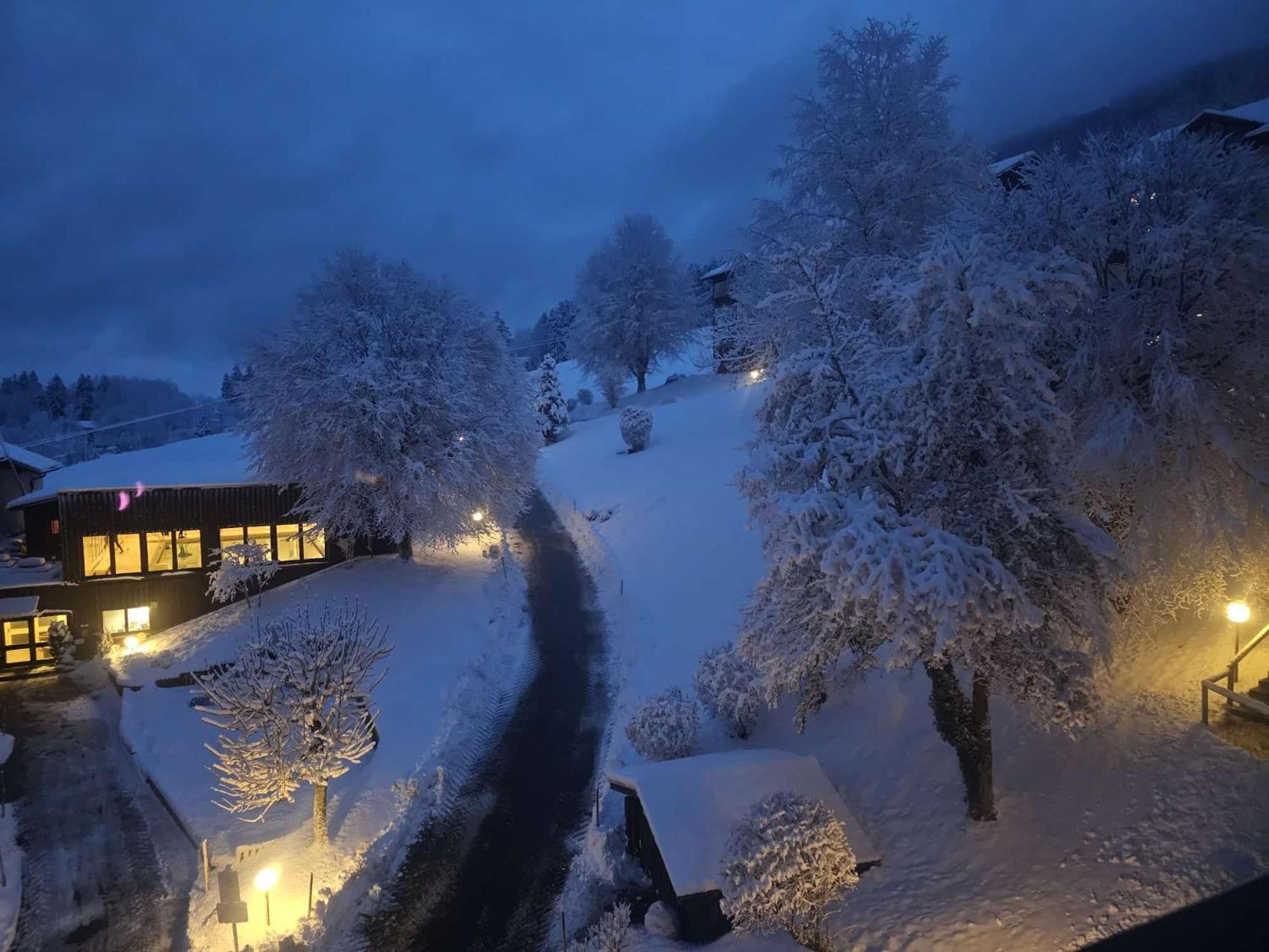 Sonnen-Juwel - Hallenbad-Sauna-2 Getrennte Schlafbereiche-Direkt An Der Skipiste Міссен-Вільгамс Екстер'єр фото
