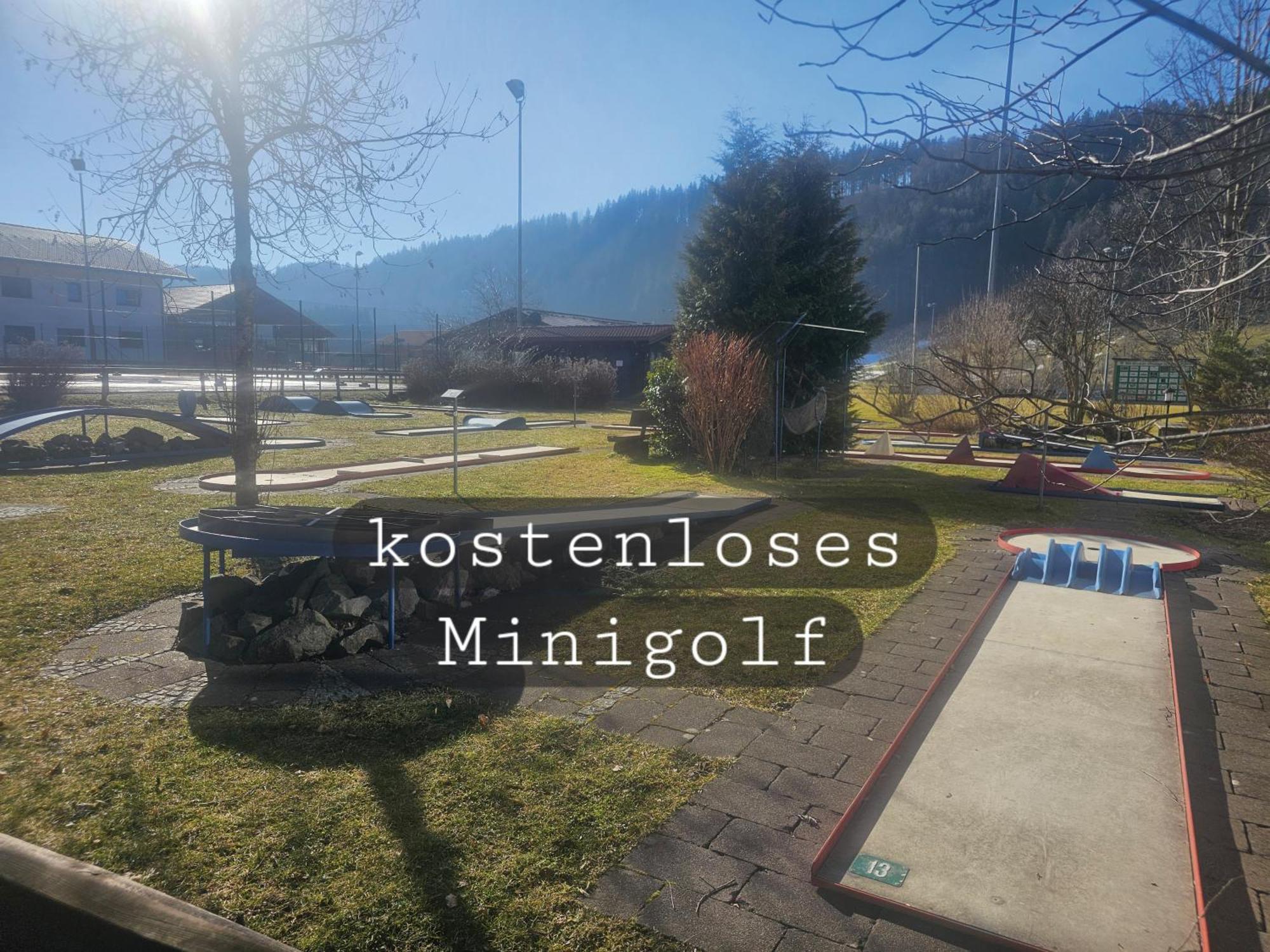 Sonnen-Juwel - Hallenbad-Sauna-2 Getrennte Schlafbereiche-Direkt An Der Skipiste Міссен-Вільгамс Екстер'єр фото